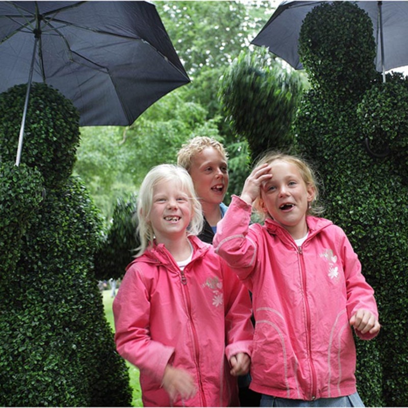 The Human Hedges seeing double at a festival in Belgium.